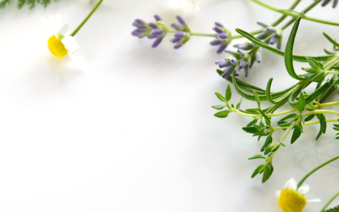 A Year of Grace and Growth